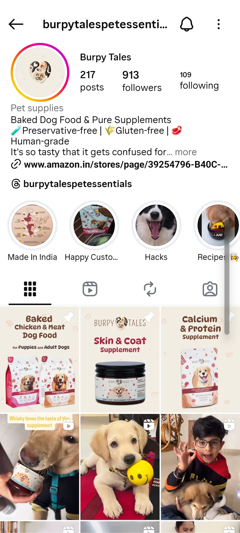 Instagram profile of Burpy Tales featuring pet supplies with 217 posts, 913 followers, product highlights of baked dog food and supplements, and images of dogs and a child.